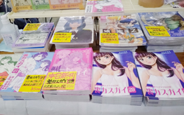 Comic Market 104